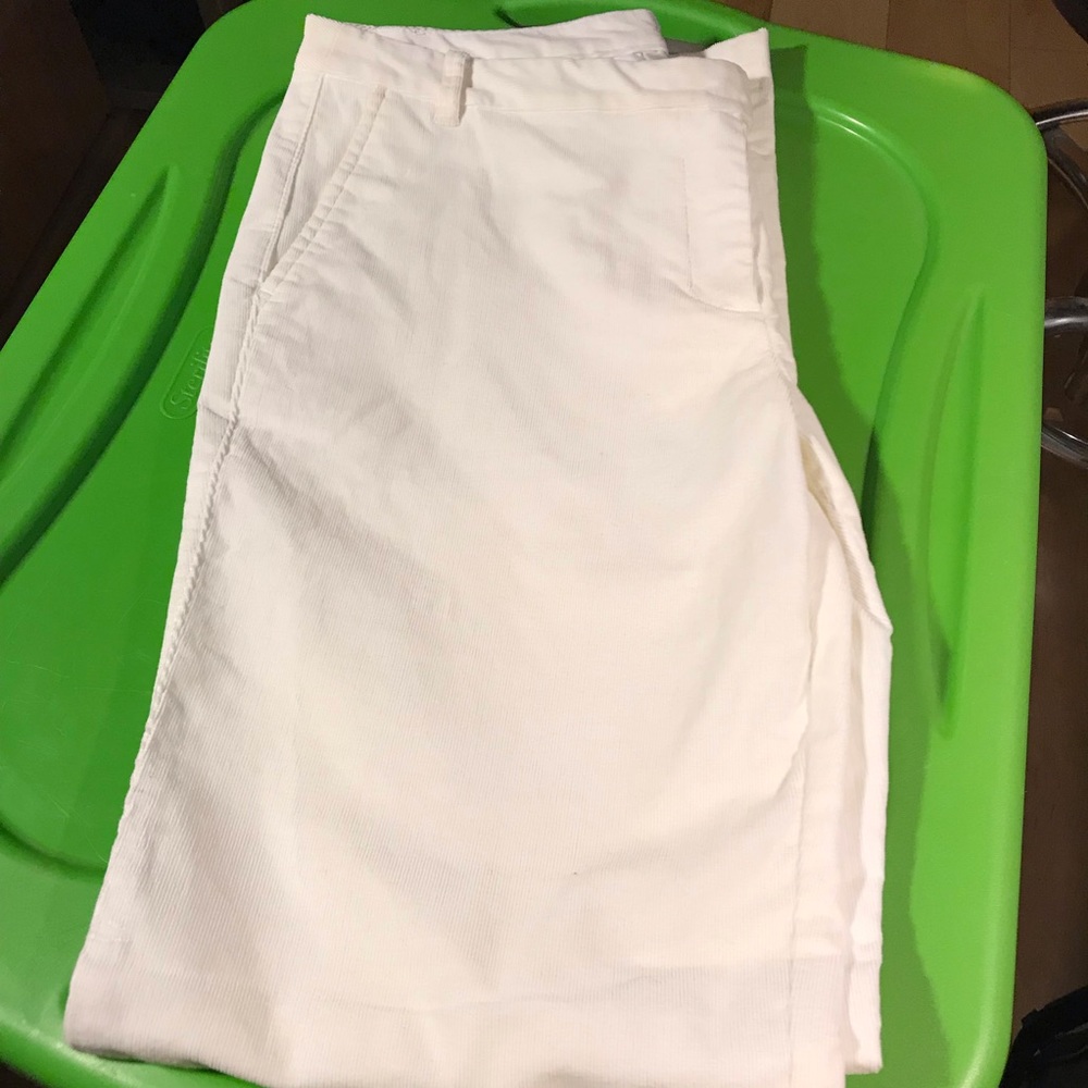 Loft pant